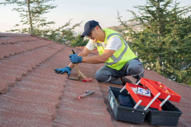 Best Storm Damage Roof Repair  in Meadowbrook, AL